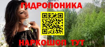 кокс Кингисепп