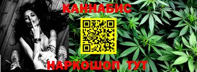 кокс Кингисепп