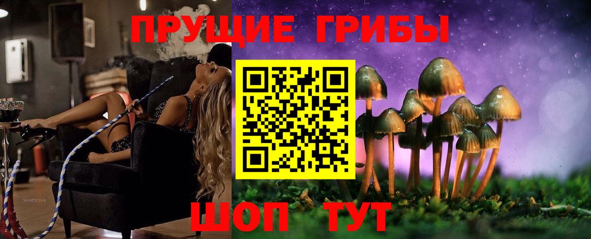 Галлюциногенные грибы Psilocybe  Вход с VPN  Костомукша 